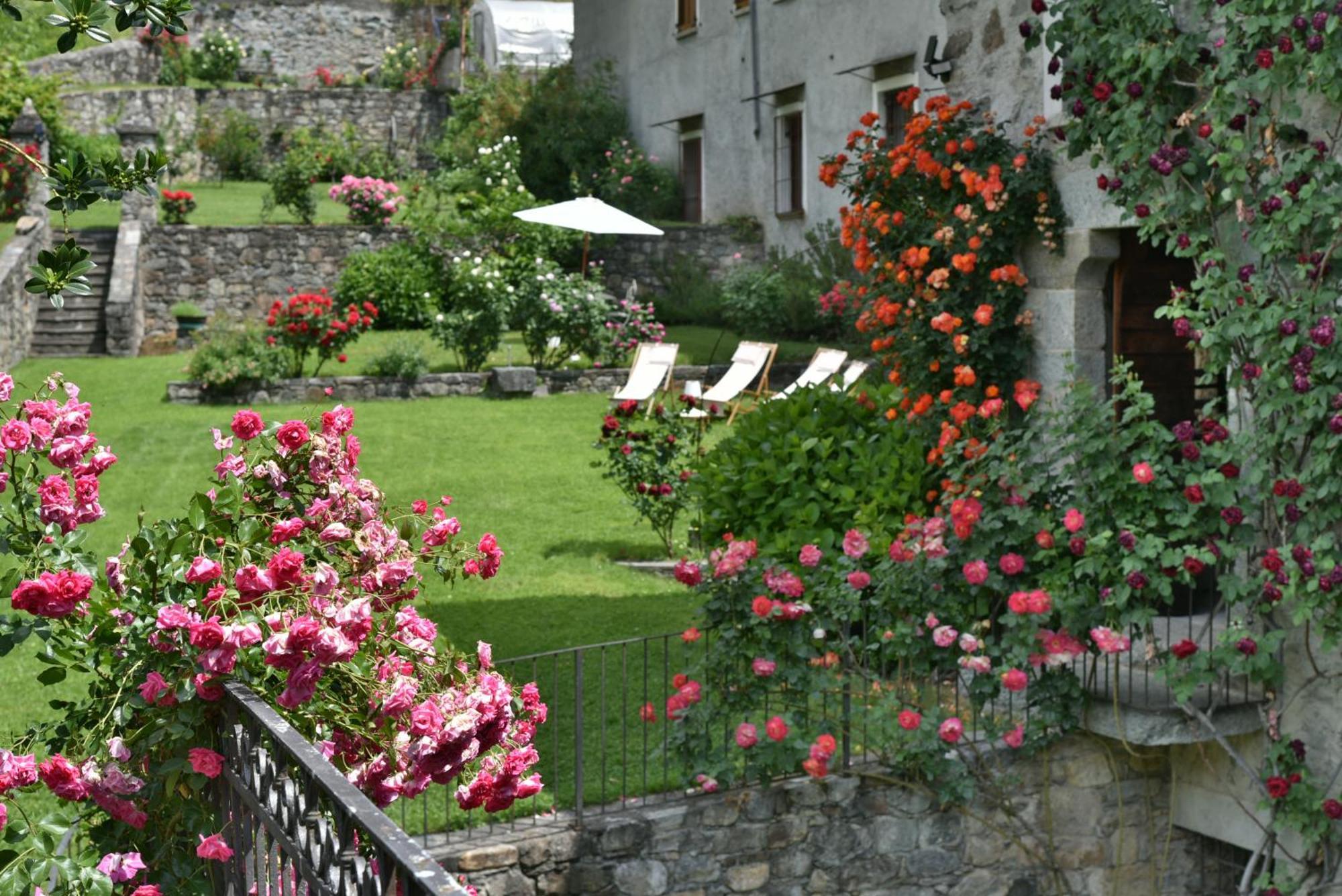 Piano Nobile Al Roseto Del Drago Villa San Bernardo  ภายนอก รูปภาพ